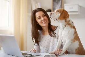 Přehled nejlepších aplikací a nástrojů pro úspěšný home office