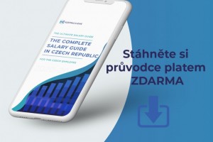 Úplného průvodce platem pro české zaměstnance