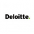 Hodnocení Deloitte